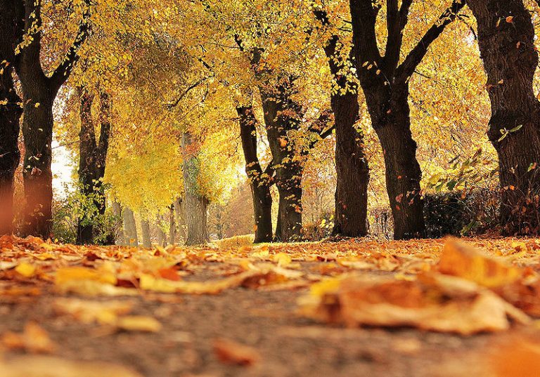 Ratgeber: Autofahren im Herbst und Winter