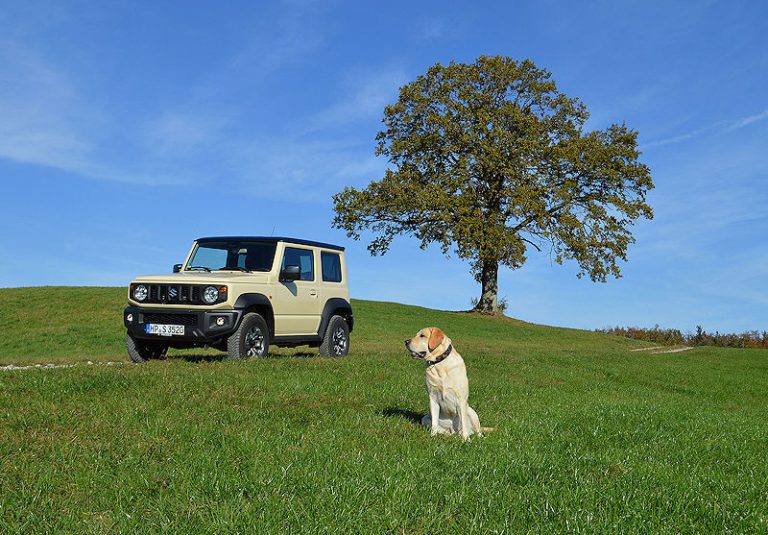 Kleiner Suzuki Jimny ganz groß